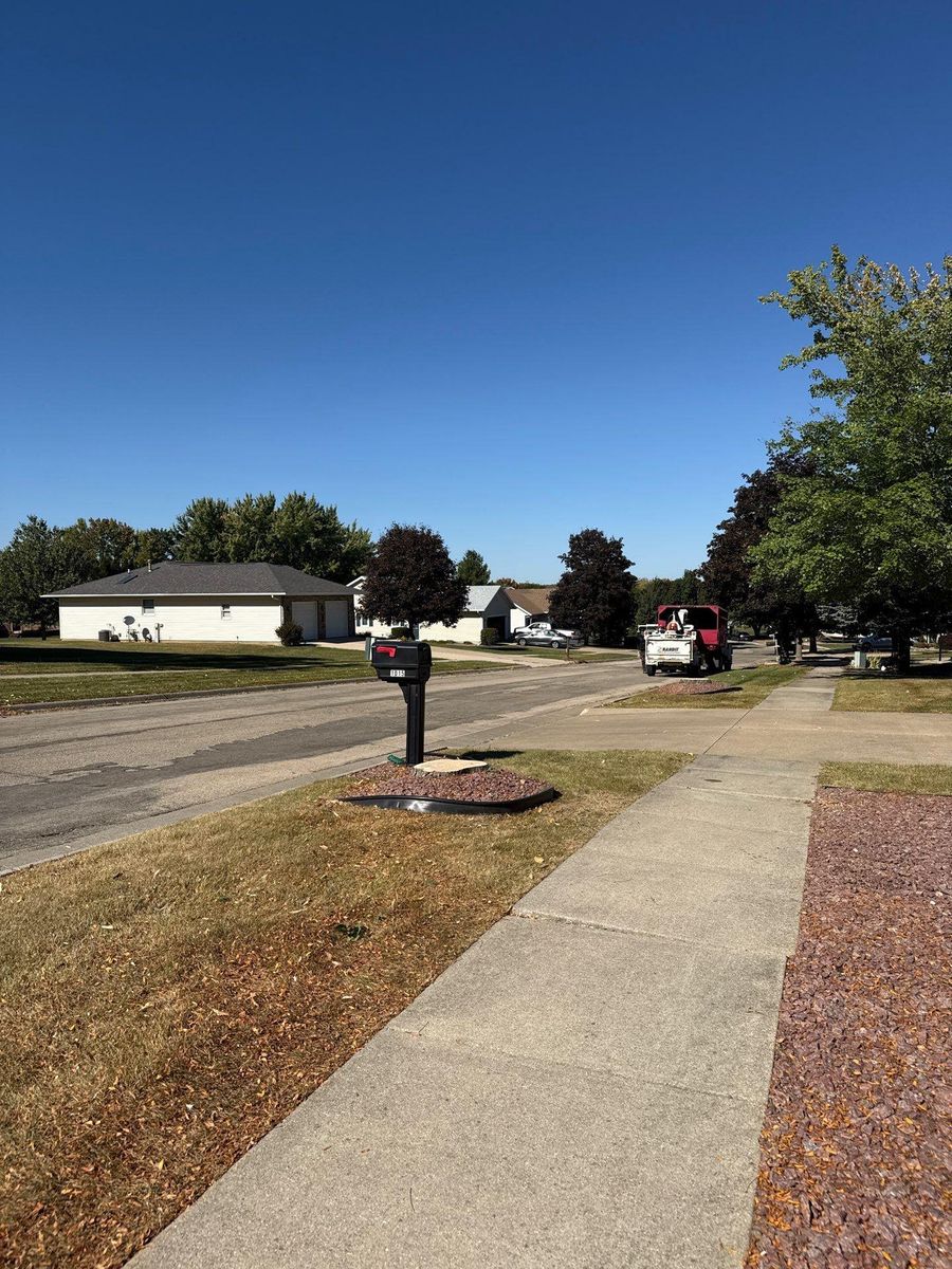 Lot Clearing for Fransen's Tree Service  in Freeport, IL