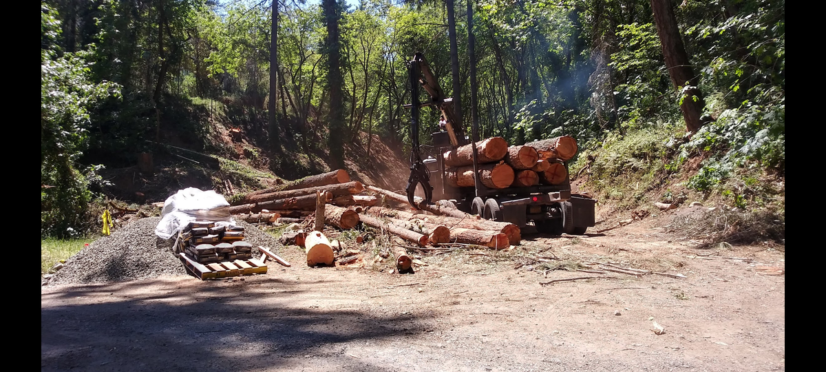 Small Scale Logging for King & Sons Urban Forestry in Coeur d'Alene, ID