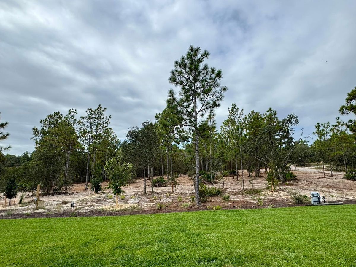 Site Preparation for All American Excavating Inc in Brooksville,  FL