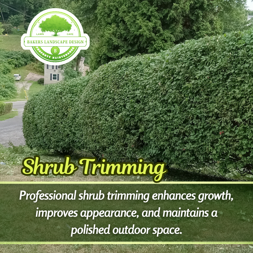 Shrub Trimming for Bakers Landscape & Design in East Liverpool, OH