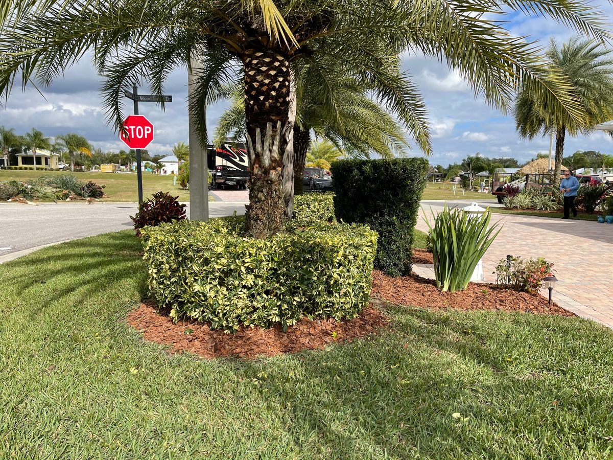 Fall Clean Up for MyerScapes Environmental LLC in Mulberry, FL