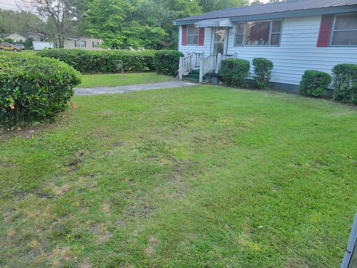 Other Lawn Services for Just Mow and Go Lawn Service in New Bern, NC