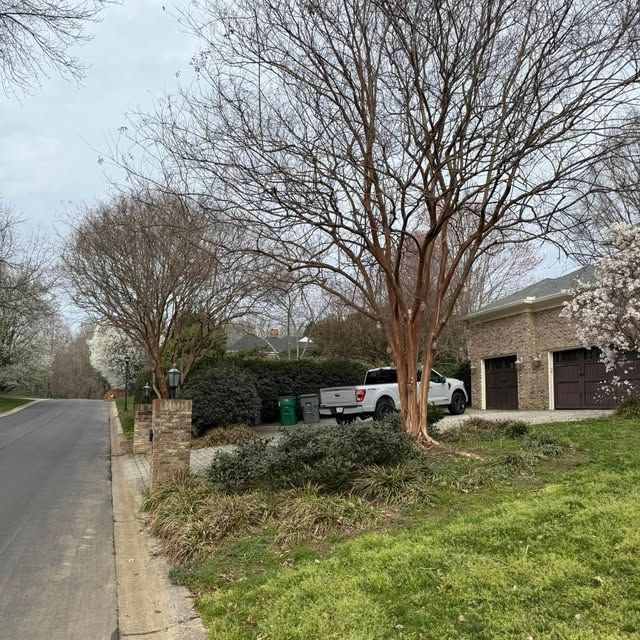 Seasonal Clean-up Services for Blue Sky Turf in Monroe, NC