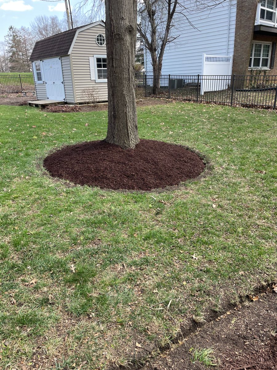 Lawn Maintenance for MDR Landscaping in Urbana, IL