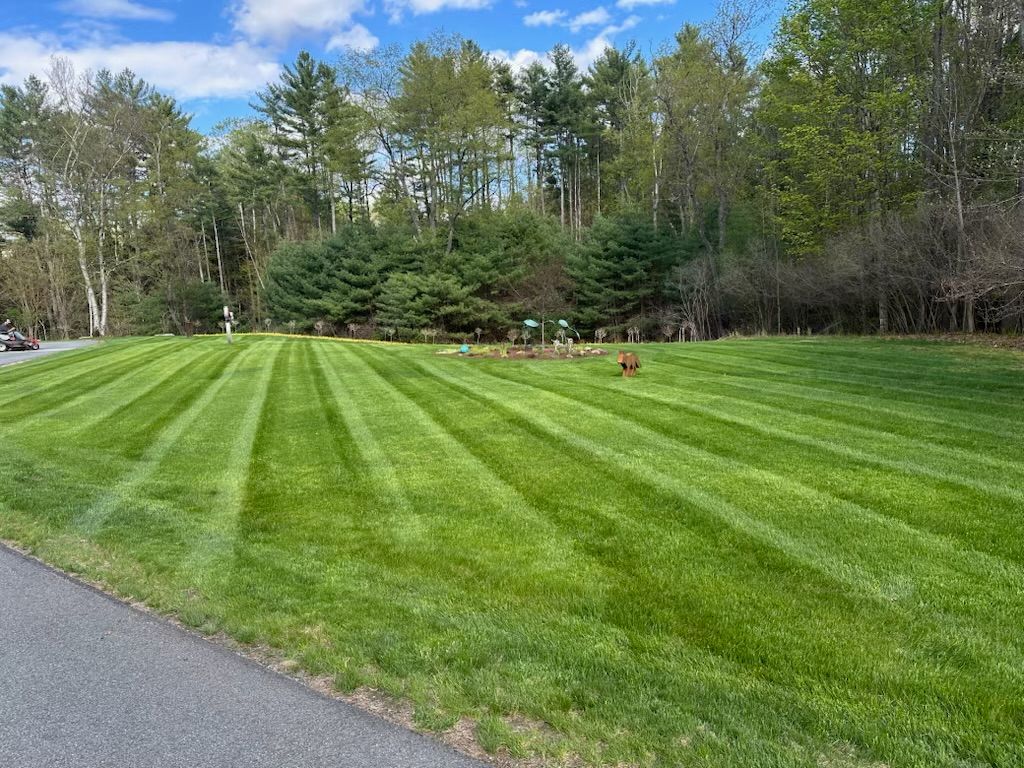 Lawn Maintenance for Thomas Clifford Property Services LLC in Enfield, NH