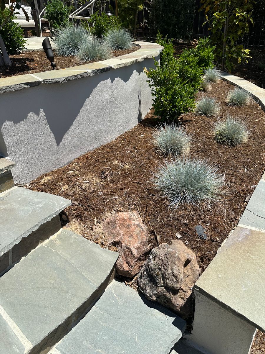 Landscape Installation for LEBEC, Inc in Brentwood, CA