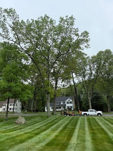 Full Landscape Redesign for Blades of Glory LLC in Cheshire, CT
