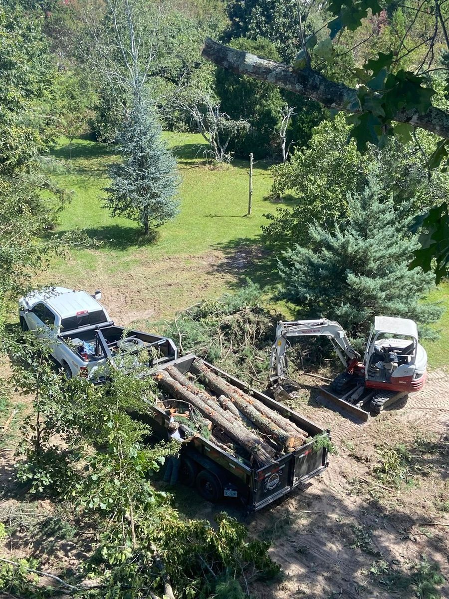 Tree Trimming & Removal for Upchurch Property Management in Vass, NC