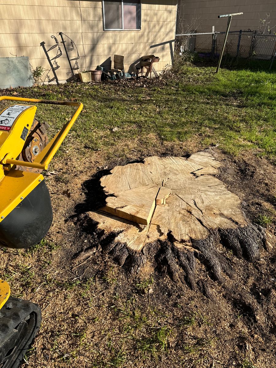 Stump Removal for Z’s Trees LLC in Grey Forest, TX