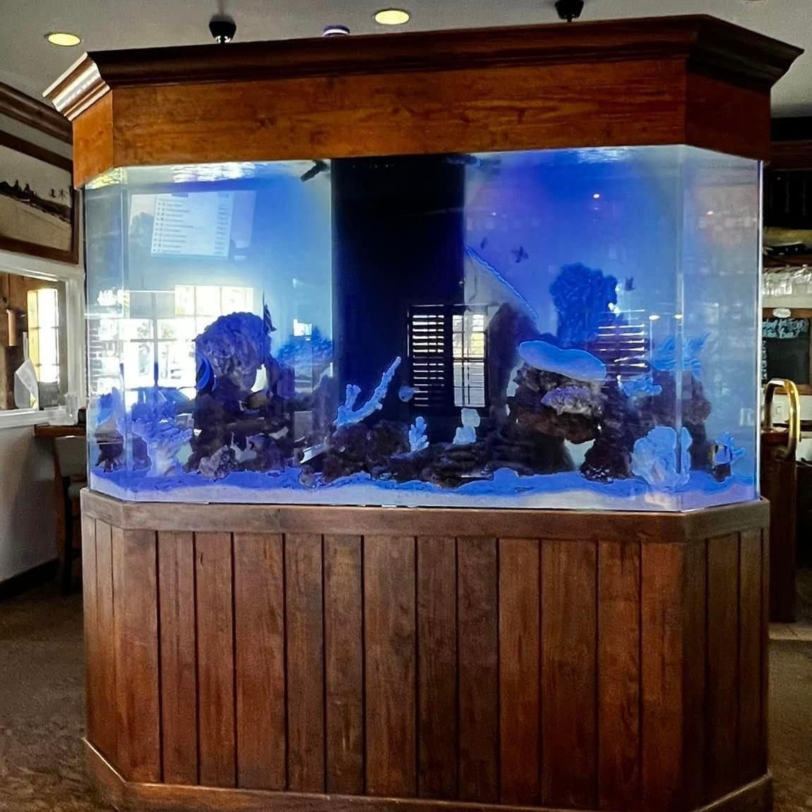 Aquarium Maintenance for Aquariums by Sharyn in The State of Florida, FL