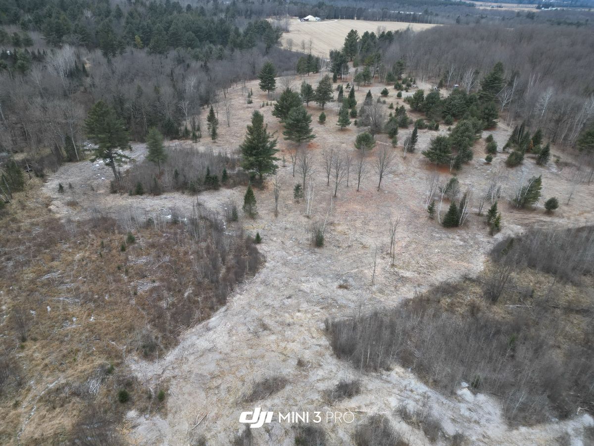 Land Clearing for Brush Busters in Wausau, WI