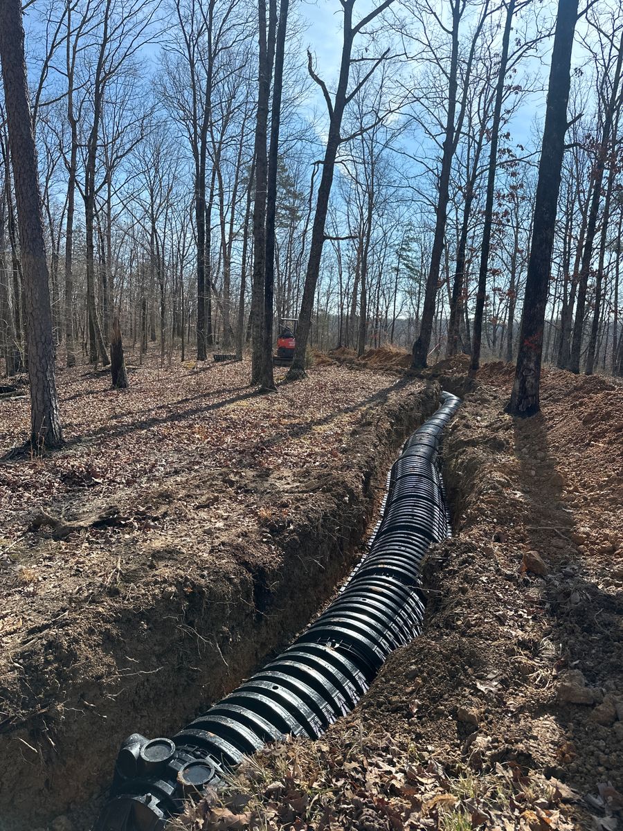 Land Clearing for Green Land Management in Mount Pleasant, TN