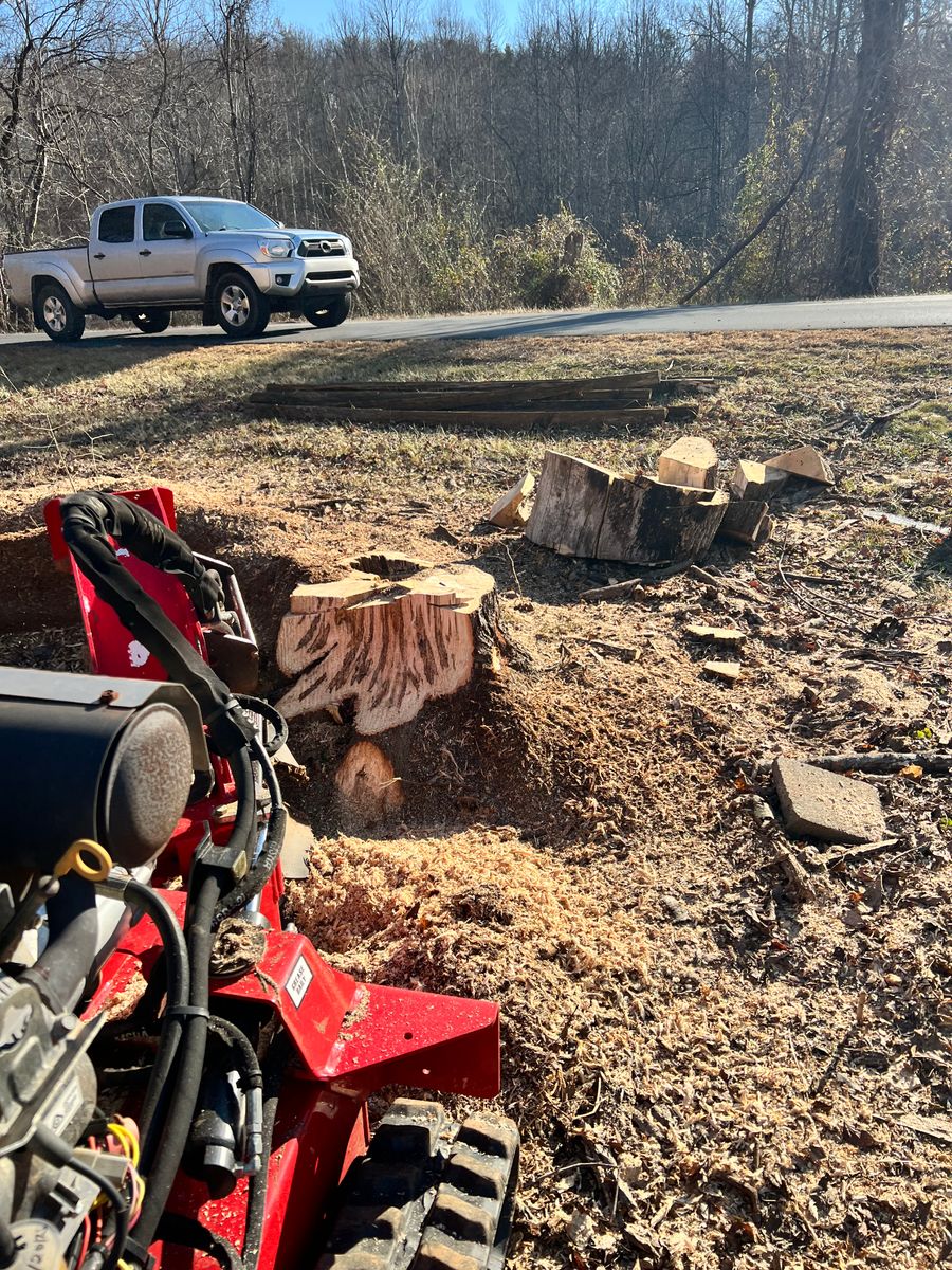 Tree Work for Valencia’s Lawncare in Charlottesville, VA