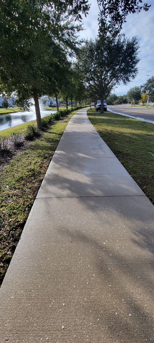 Pressure Washing for BLUE STREAM ROOF CLEANING & PRESSURE WASHING  in Tampa, FL