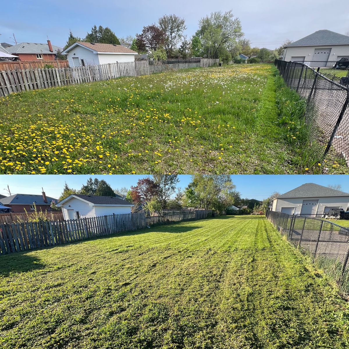 Lawn Care for CMN Exterior Maintenance in Hamilton, ON