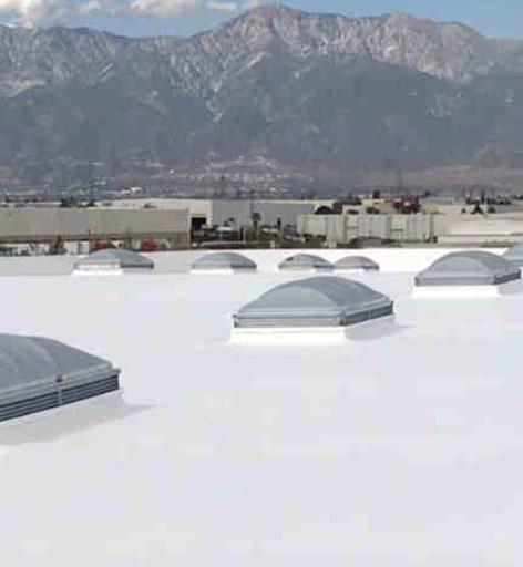 Waterproofing for Waterproofing Solutions in Mandeville, LA