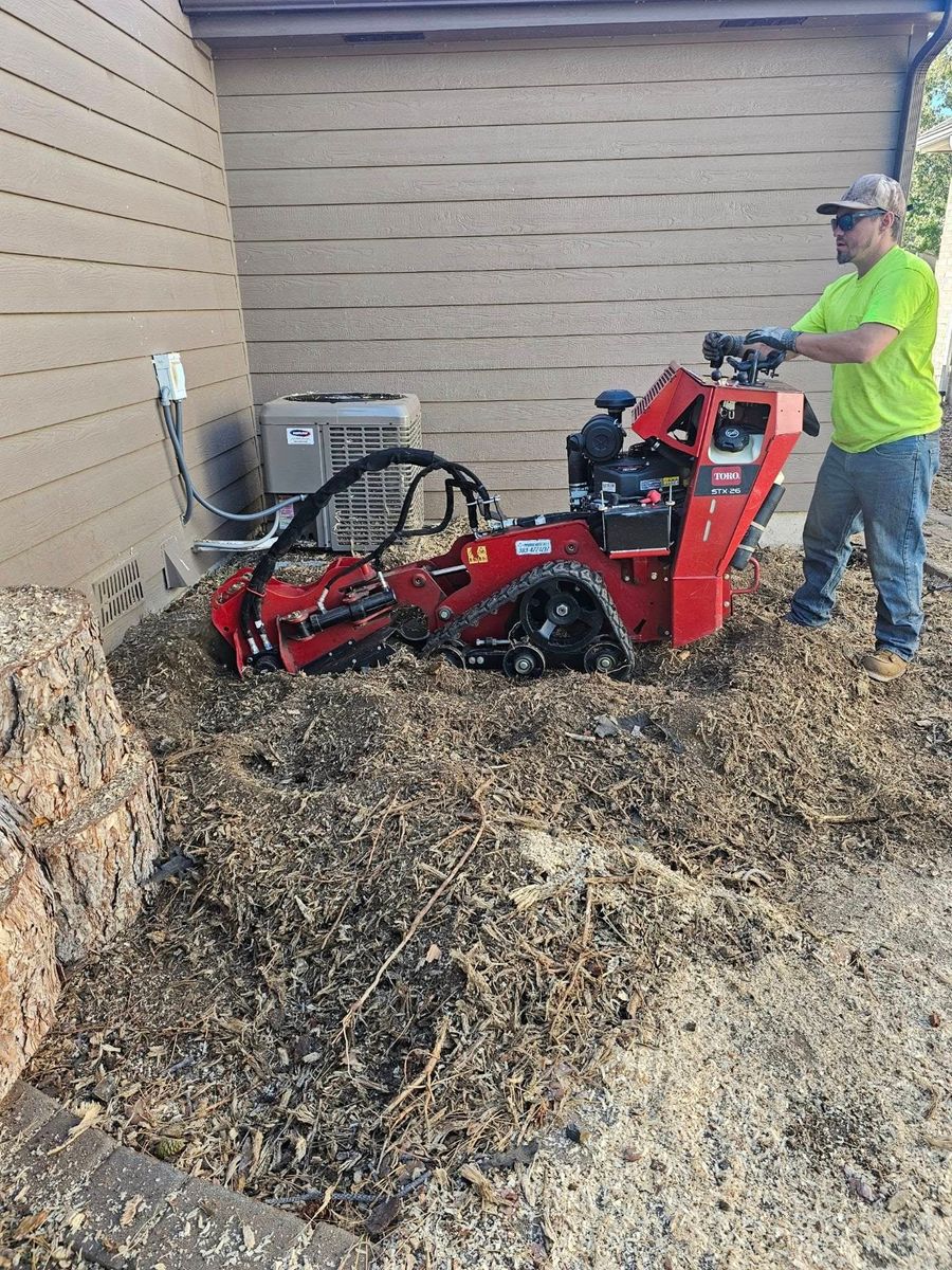 Stump Removal for Sloan Tree Service in Aurora, CO