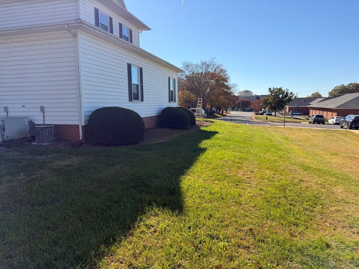 Other Lawn Maintenance for America's Top Pick Lawn & Landscaping in Gastonia, NC