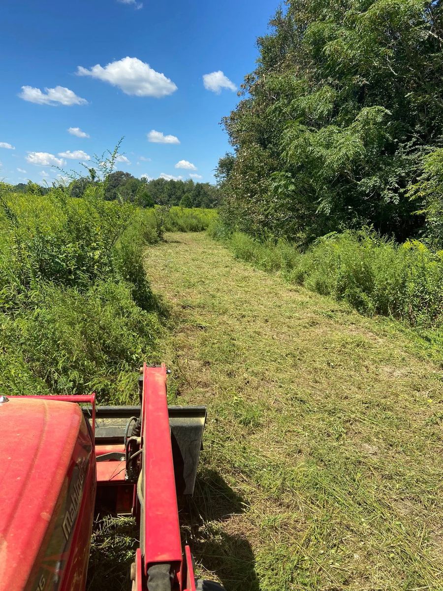 Bush Hogging for Rogers Land Services in Hawkinsville, GA