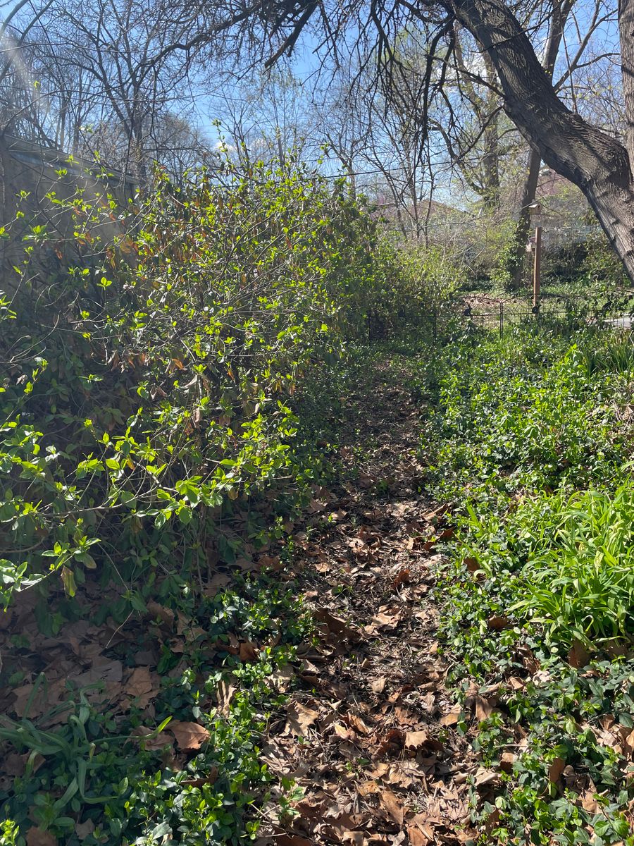 Fall clean up for MDR Landscaping in Urbana, IL