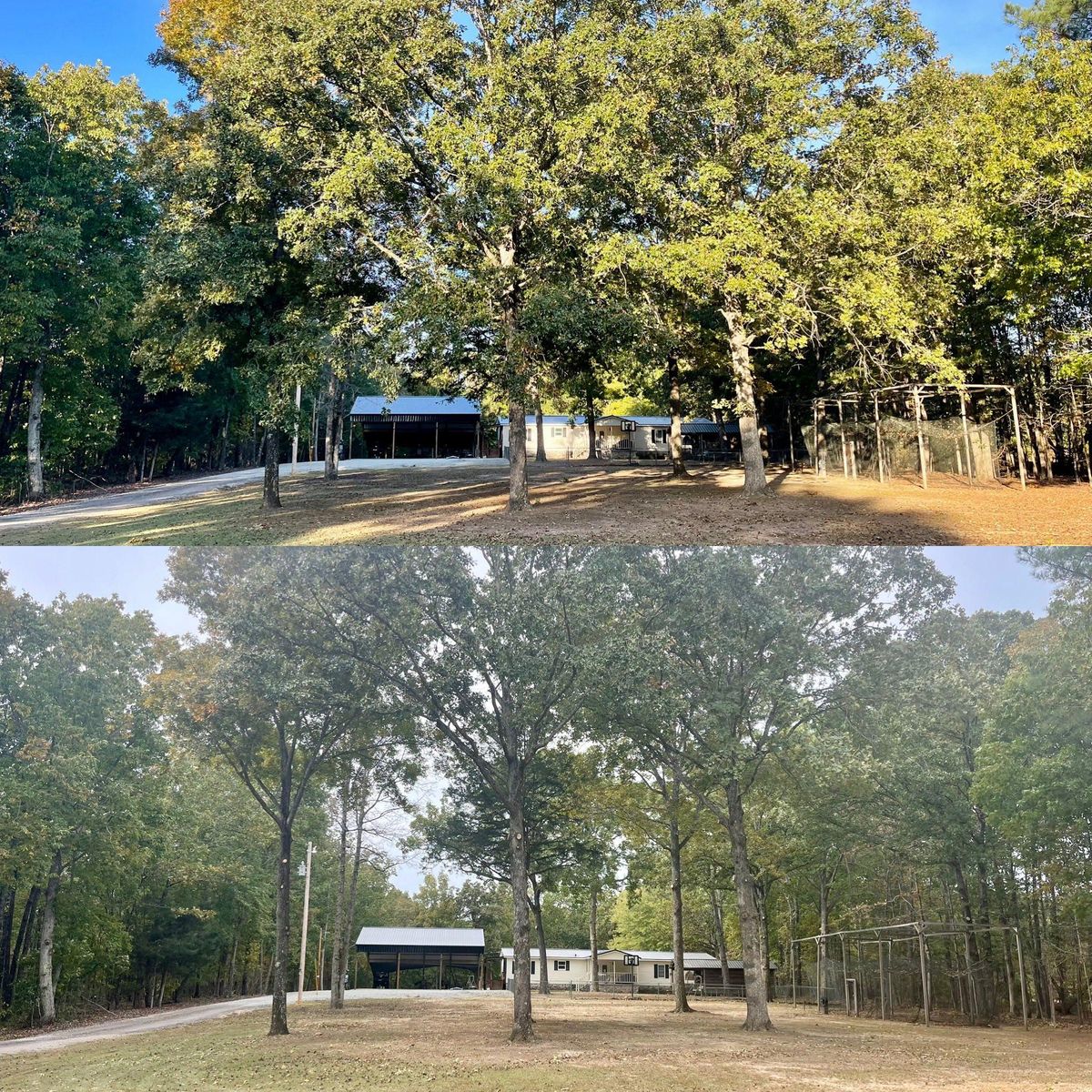 Tree Trimming for Ross Family Tree Service LLC  in Hohenwald, TN