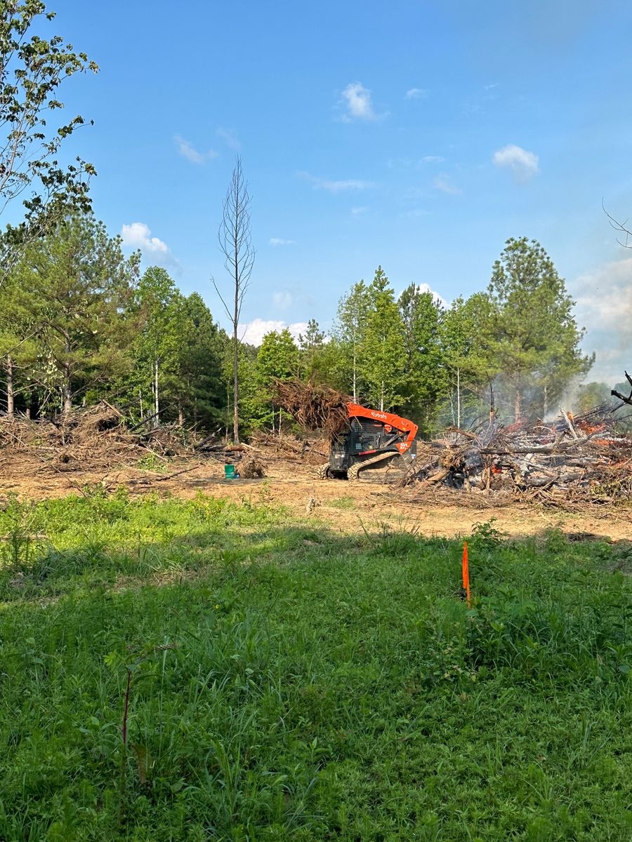 Tree Trimming & Removal for Lanes Land Management in Fayetteville, TN