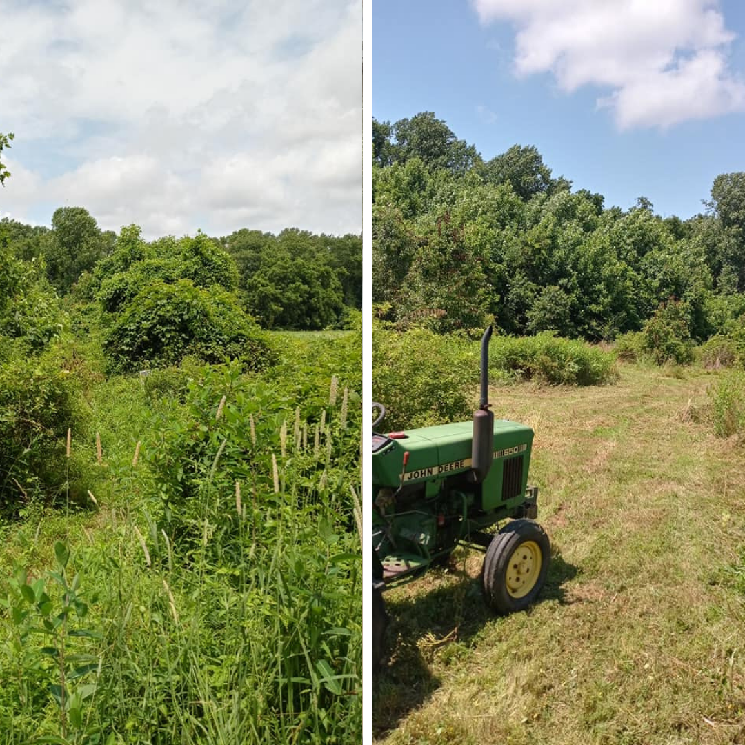 Turf management for Ace Property Solutions INC. in New Castle County, Delaware