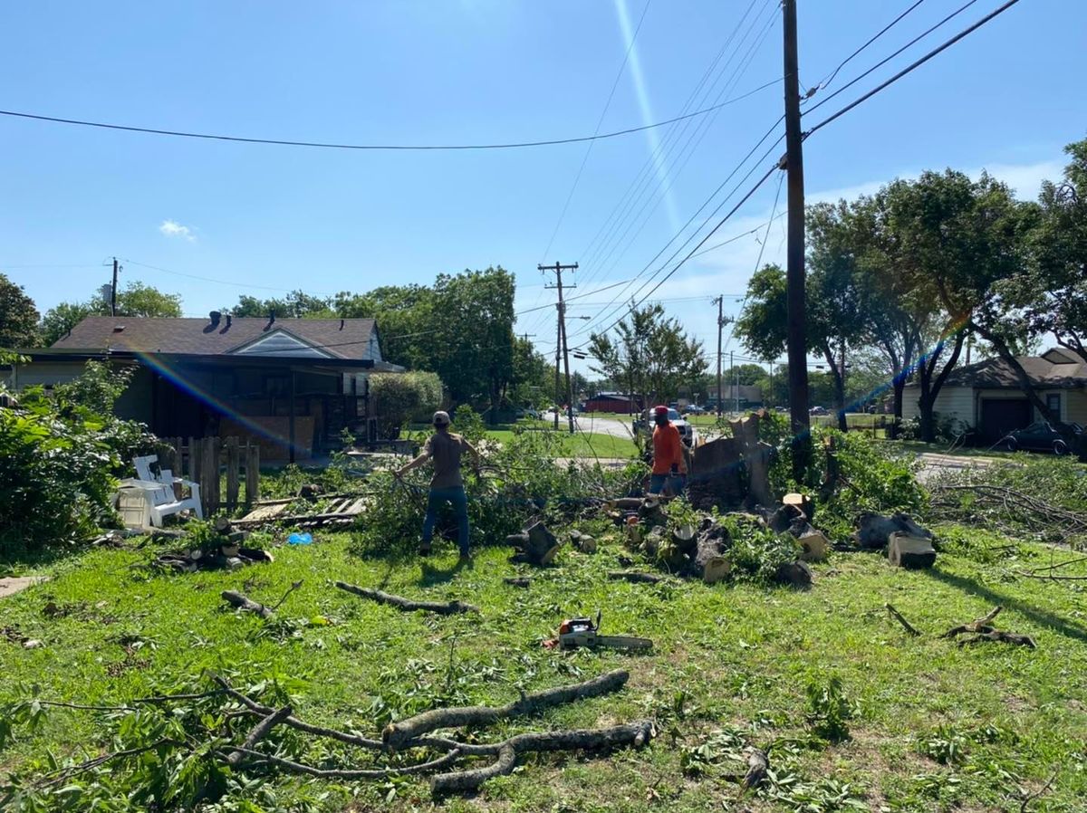 Tree Removal for Muniz Tree Service in North Richland Hills, TX