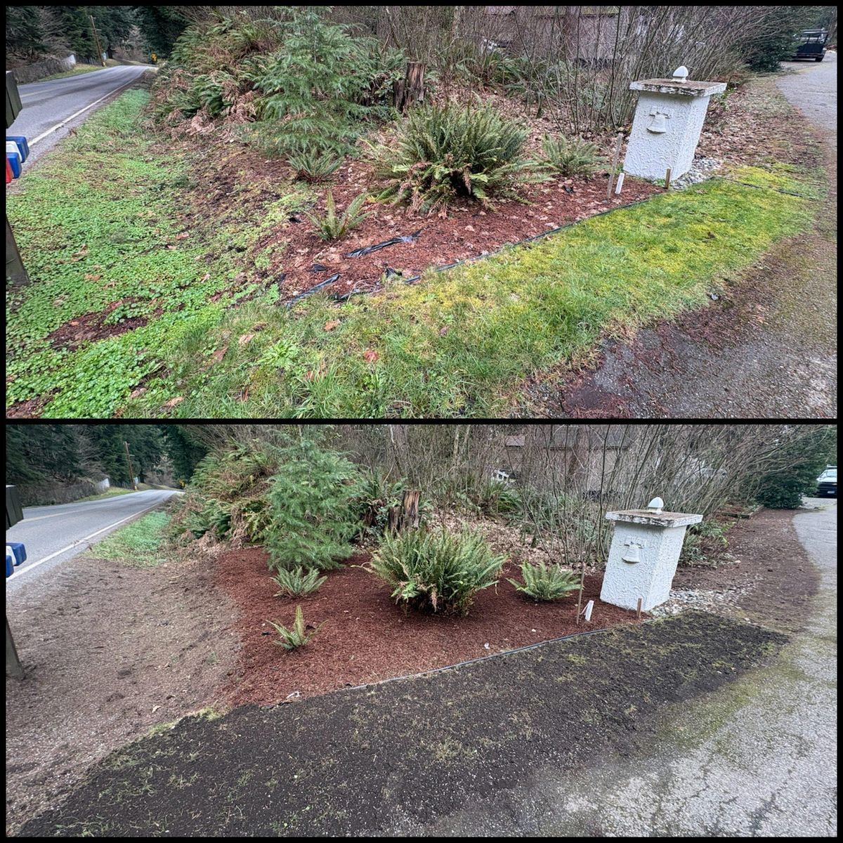 Property Clean-Up for Golovin Property Services LLC in Marysville, WA