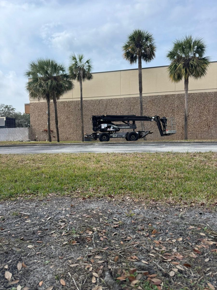 Tree Trimming + Removal for Jacksonville Outdoors in Jacksonville, FL