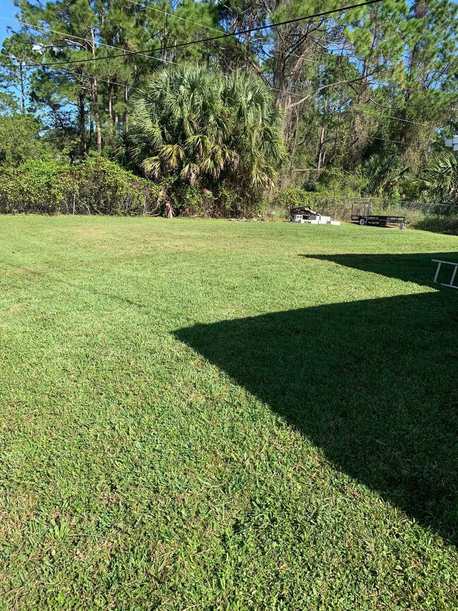 Lawn Maintenance for Space Coast Property Maintenance and Management LLC in Melbourne, FL