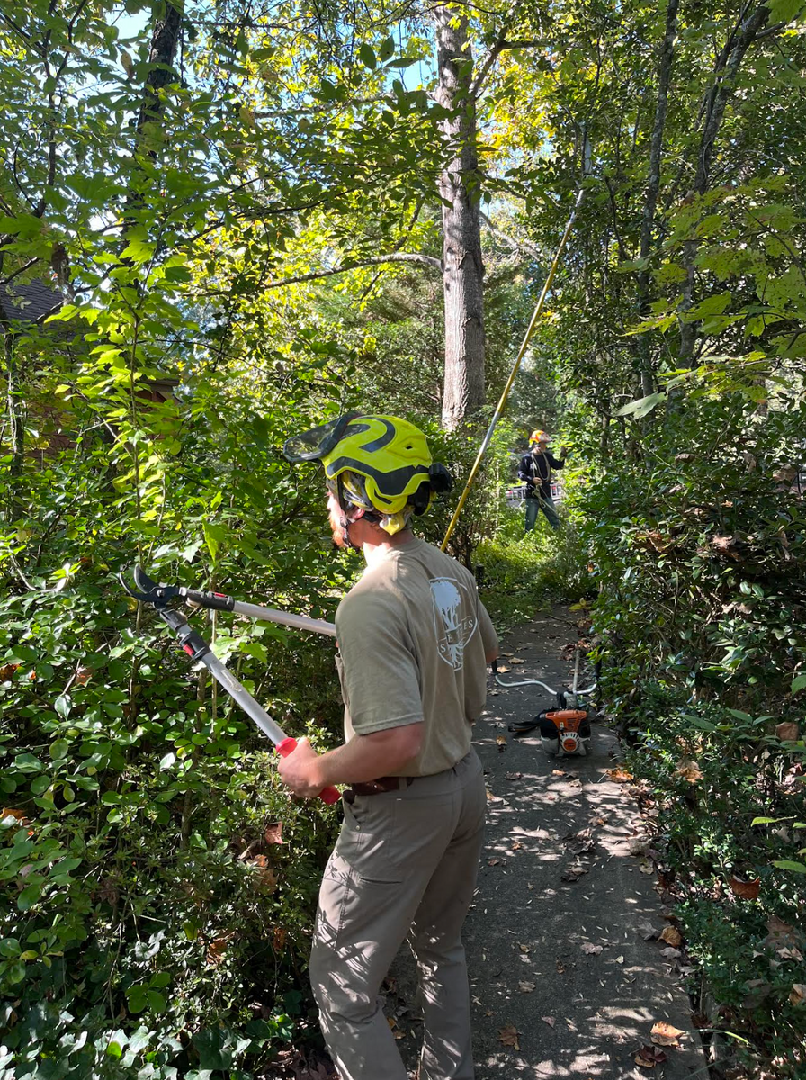 Fall Clean Up for Settle Tree Services in Knoxville, TN