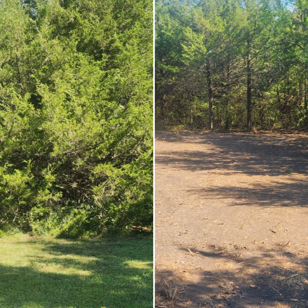 Land Clearing and Mulching for L&T Excavating in Topeka, KS