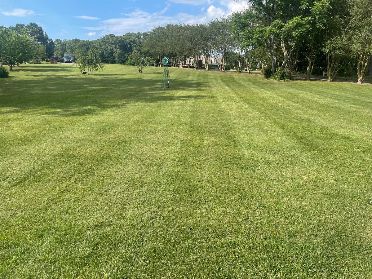 Full Lawn Services for Greenwood Lawn & Landscaping LLC in Talladega, Alabama