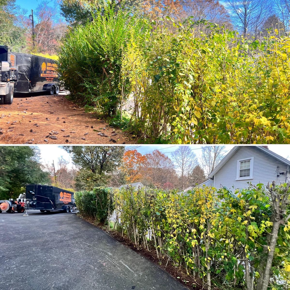 Shrub Trimming for LJ Lawn & Property Maintenance, Inc. in Cold Spring, New York