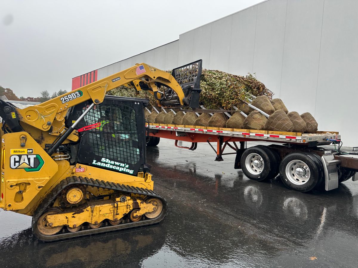 Drainage Systems for Shawn's Landscaping in Worcester, MA