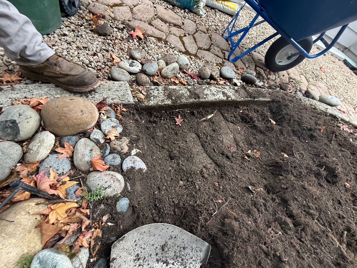 Shrub Trimming for CBA Landscaping in Hayward, CA