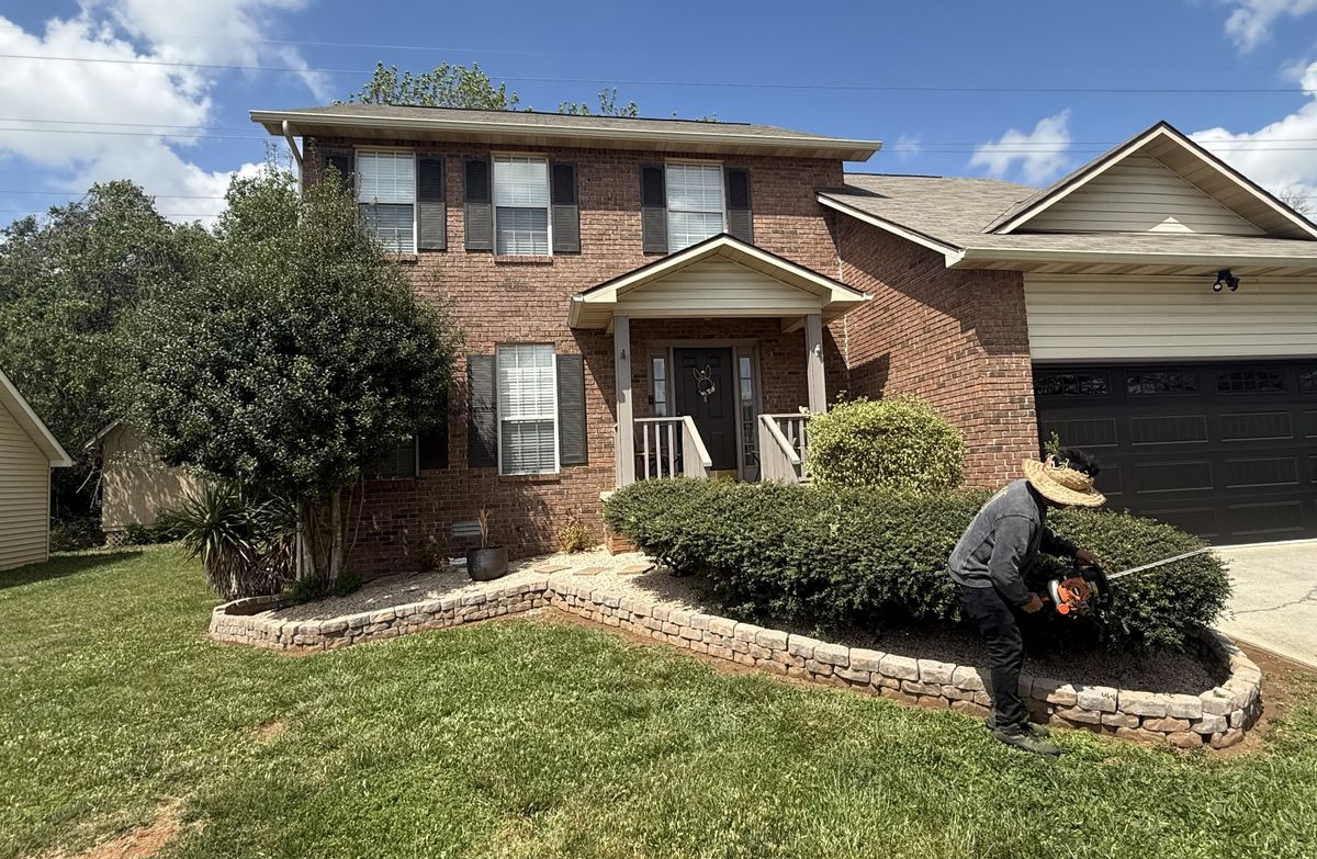 Tree trimming for Wesleys Landscaping in Clinton, TN