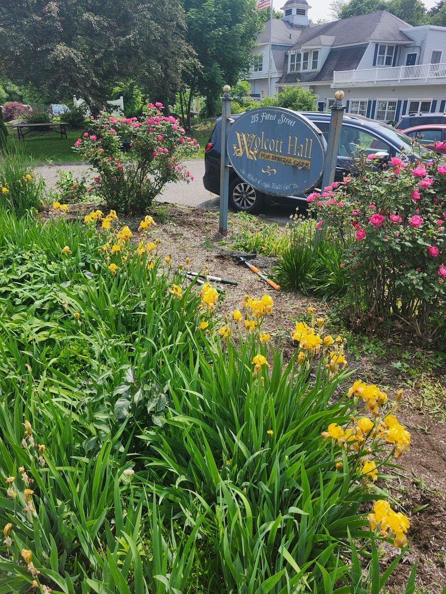 Landscape Installation for Landscape Innovations LLC in Torrington, CT