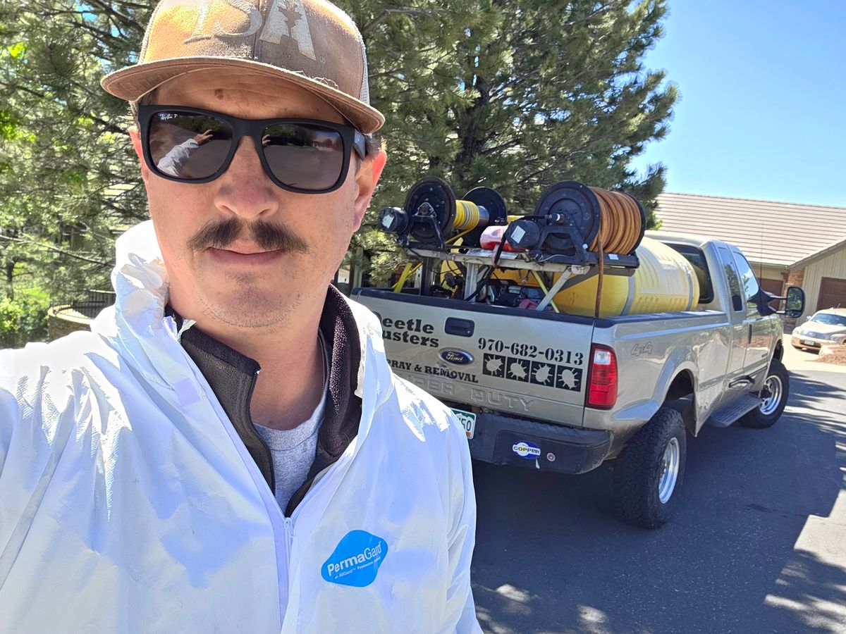 Pest Control for Beetle Busters LLC in Centennial, CO