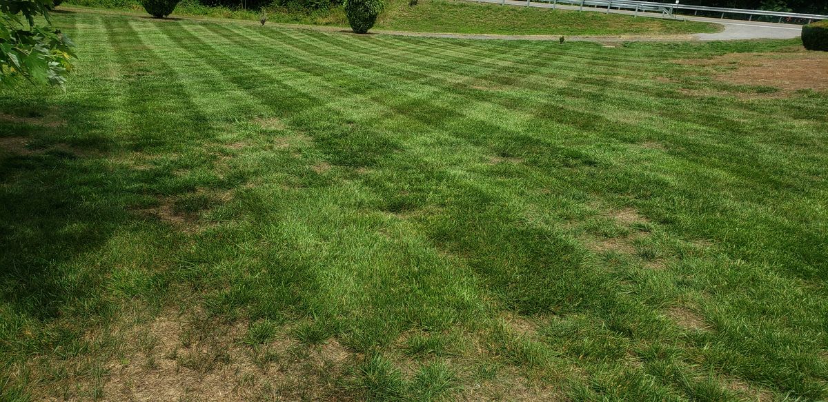 Lawn Maintenance for Sam I AM Property Solutions in Sunderland, MD