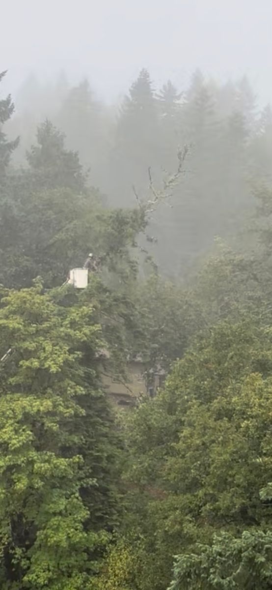 Tree Trimming for Ascension Tree Care LLC in Yakima County, WA