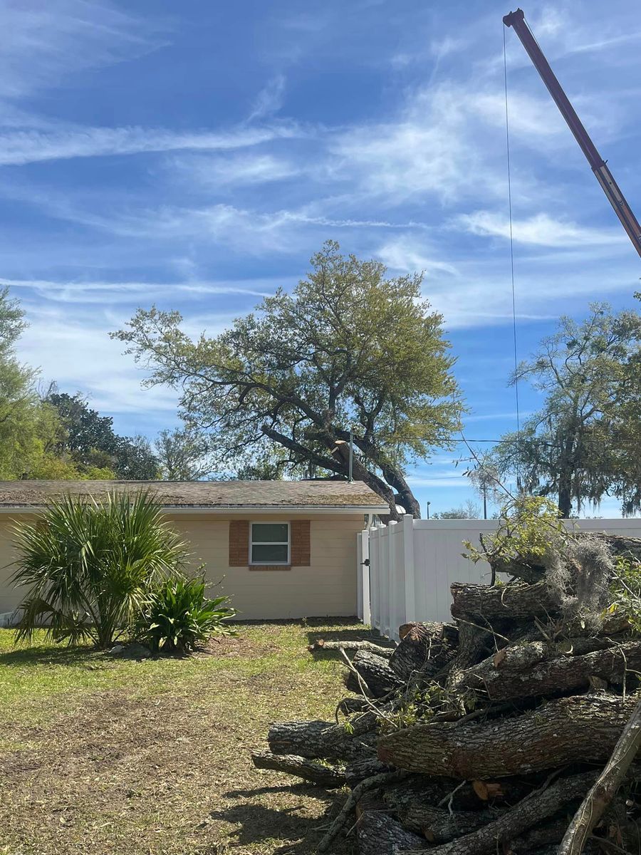 Tree Removal for Top Notch Tree Experts in Orange Park, FL