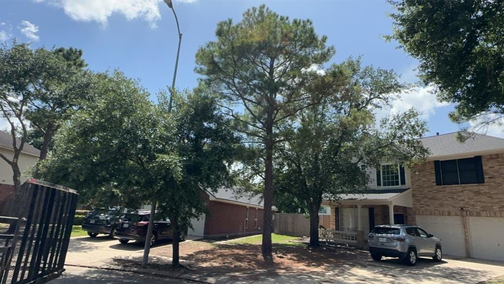Shrub Trimming for Right Choice Landscaping LLC in Houston, TX