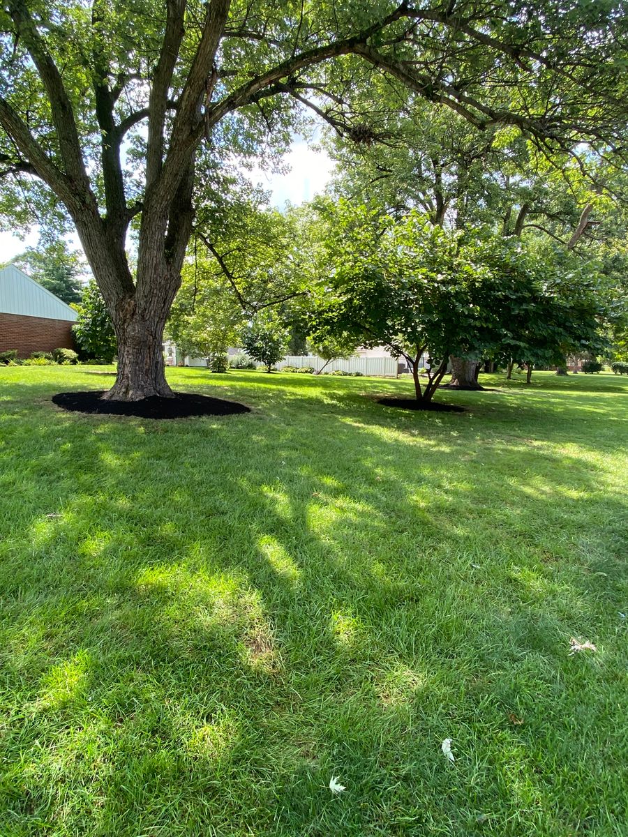 Mulching for Castle JR Landscaping & Painting LLC in Cincinnati, OH