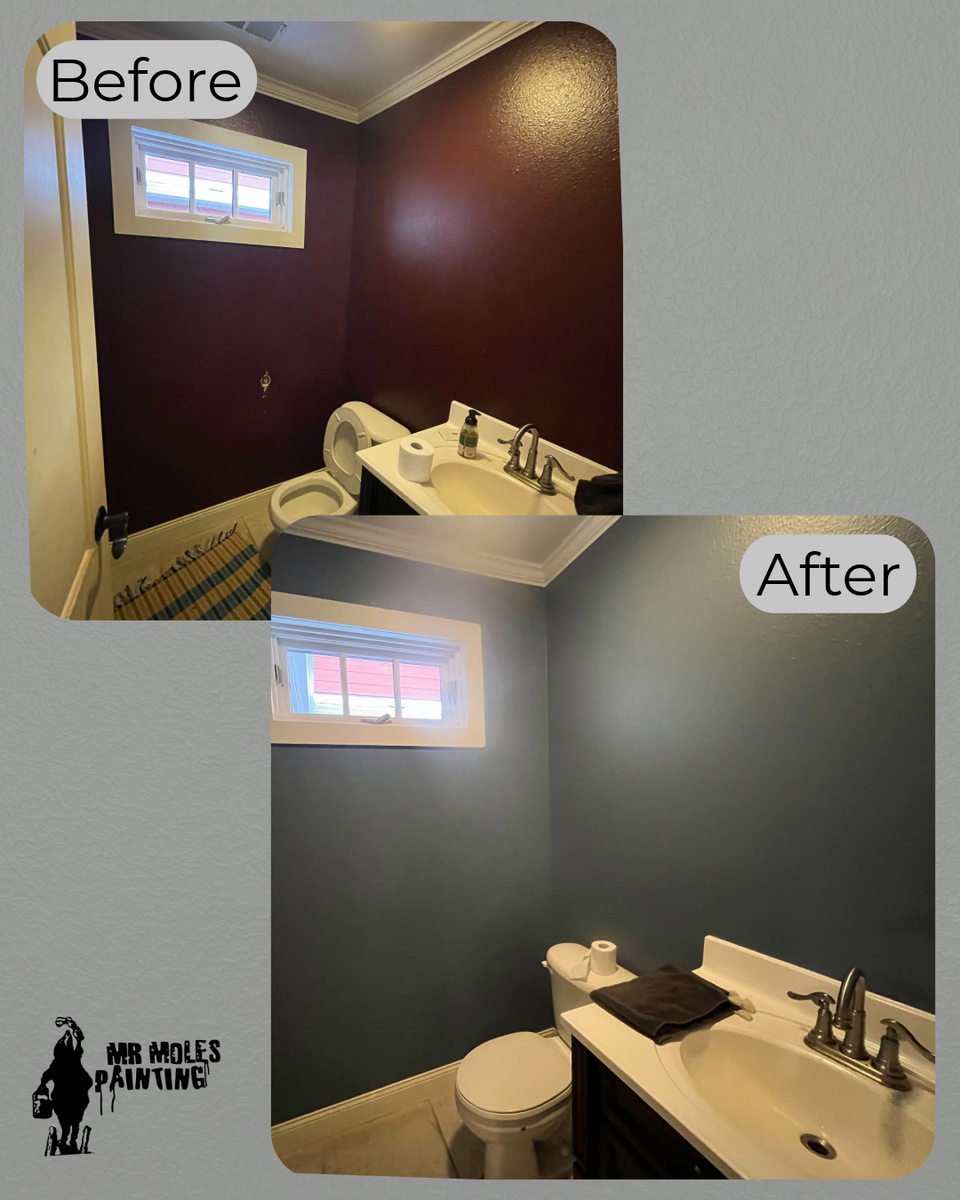 Residential Painting for Mr. Mole's Painting in Bemidji, MN