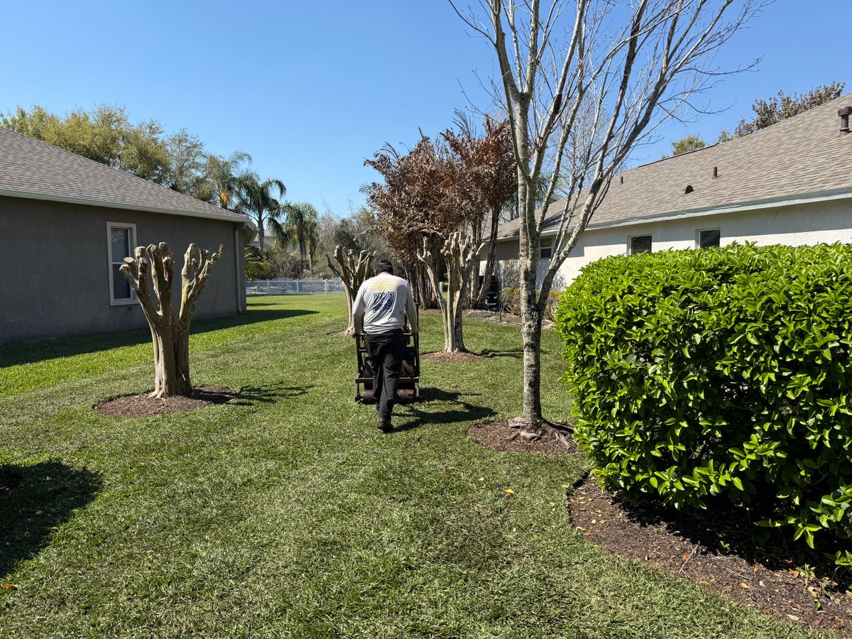 Sod Installation for Gulf Bay Sod in Clearwater, FL