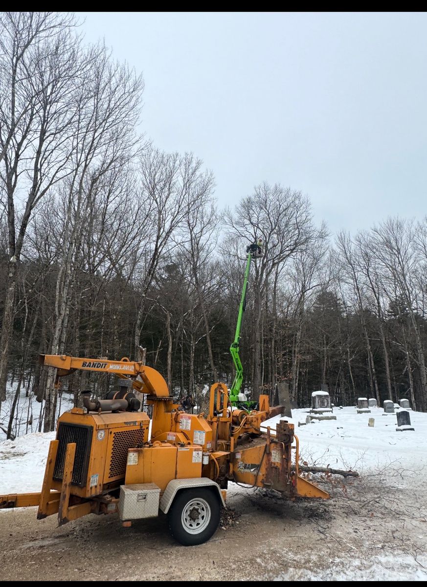 Tree Removal & Pruning for Clifford’s Quality Tree Care & Landscaping in Enfield, NH