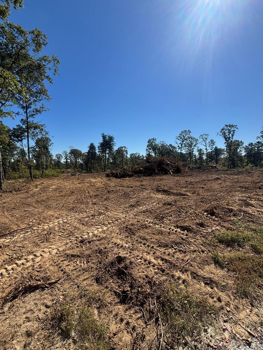 Forestry Mulching for TD Dirtworks in Tracy City, TN