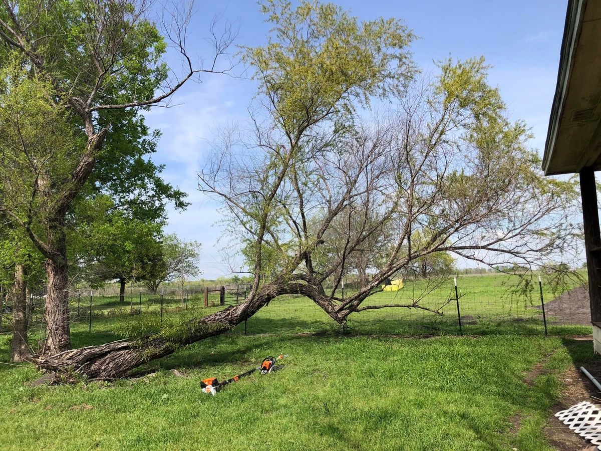 Fall Clean Up for Piña’s Lawncare in Limestone County, TX